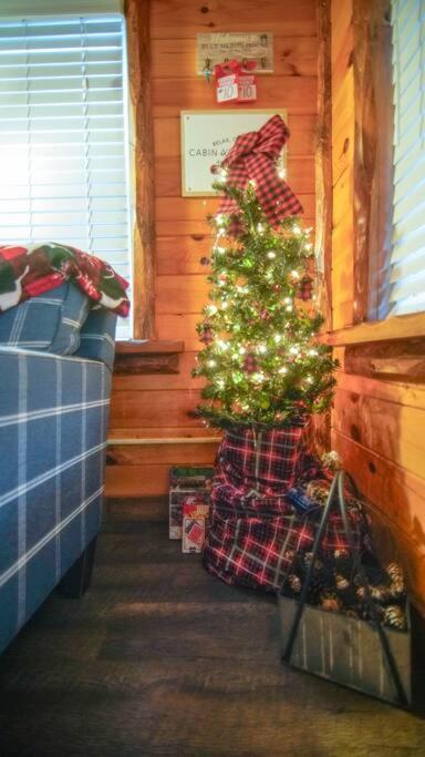 Charming Lakeview Cabin Near Geneva-On-The-Lake! Ashtabula Zewnętrze zdjęcie